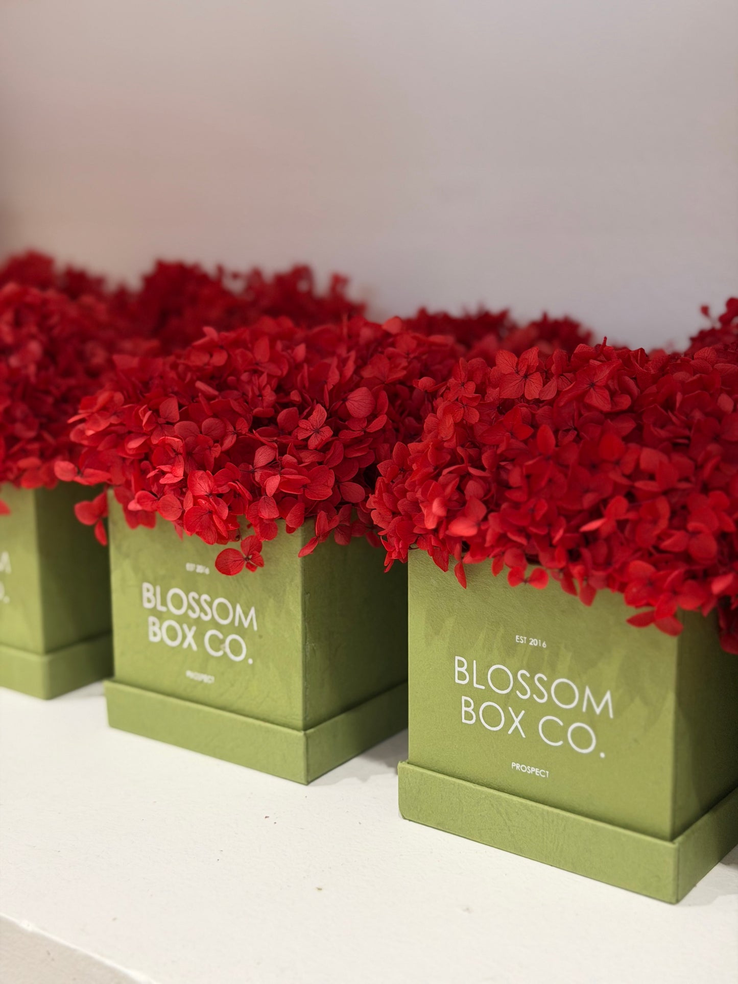 Limited edition sage box - preserved hydrangea