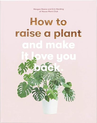How to raise a plant and make it love you back