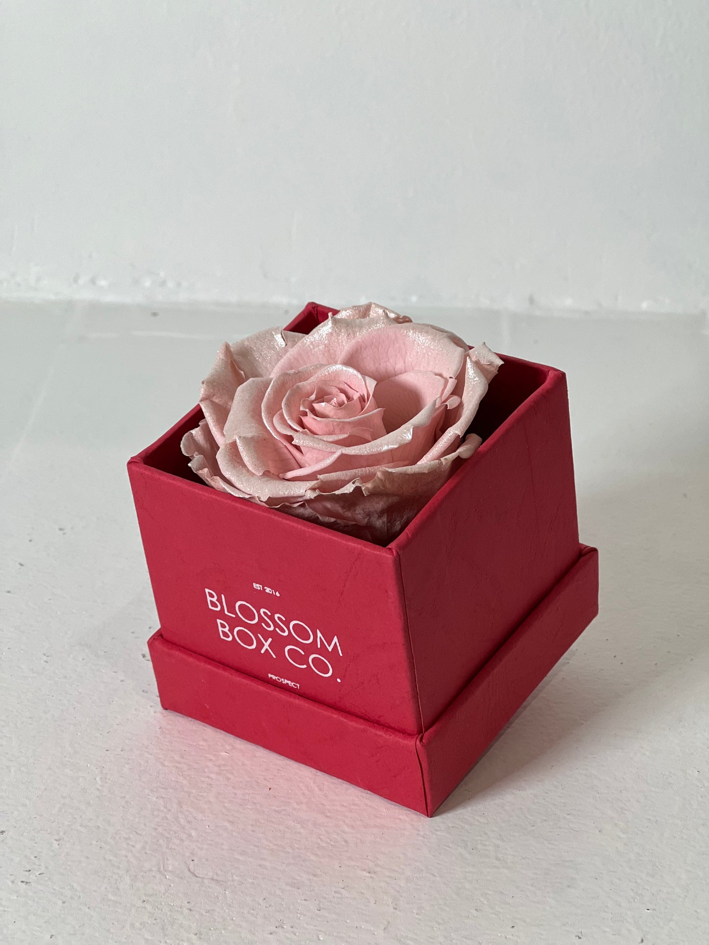Limited Edition Everlasting Rose