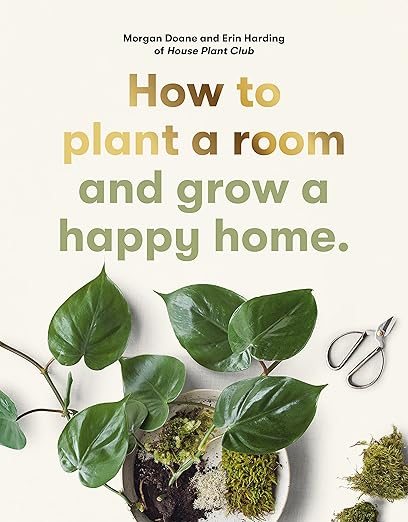 How to plant a room and grow a happy home