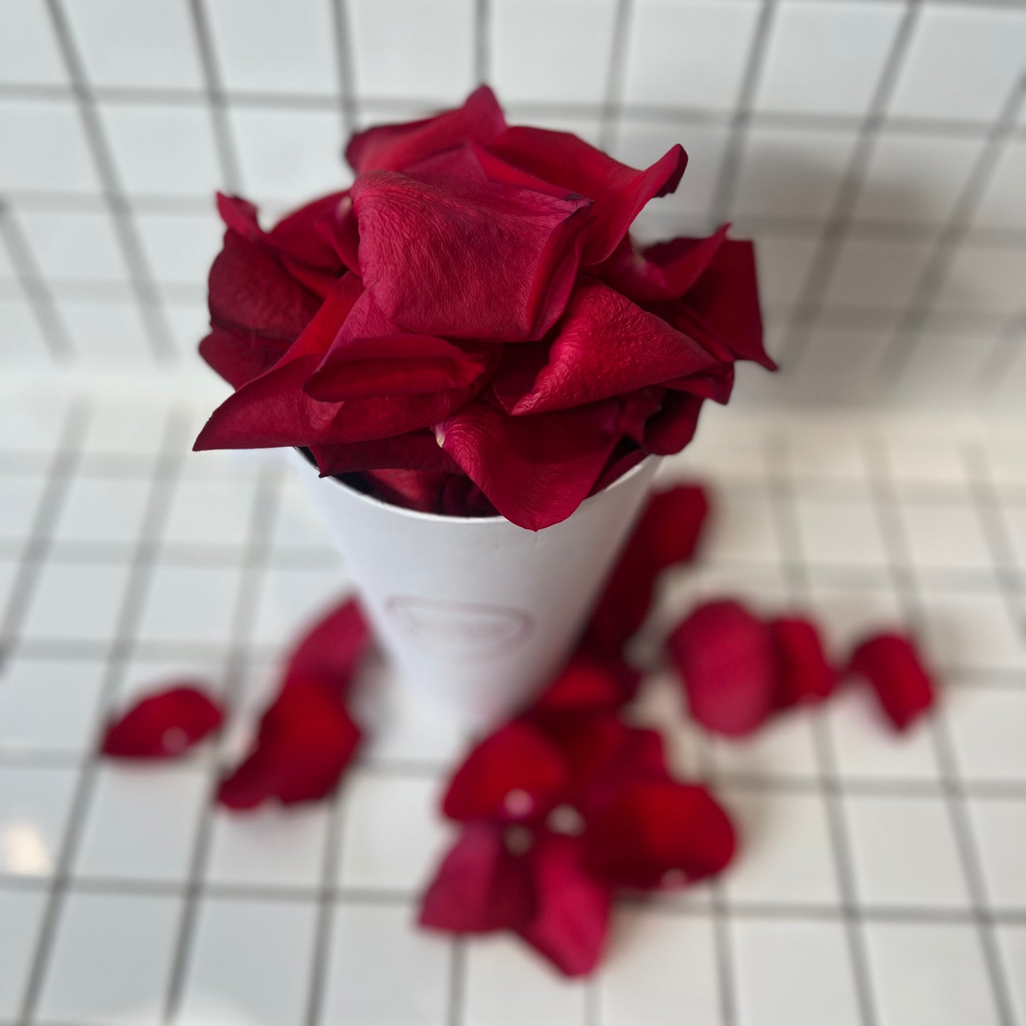 Rose Petals