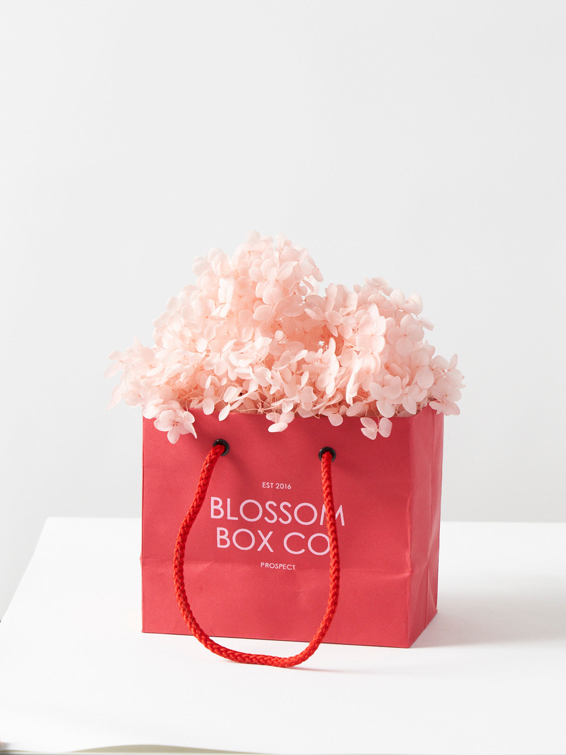 Lifetime Love Bag (Preserved Hydrangea)