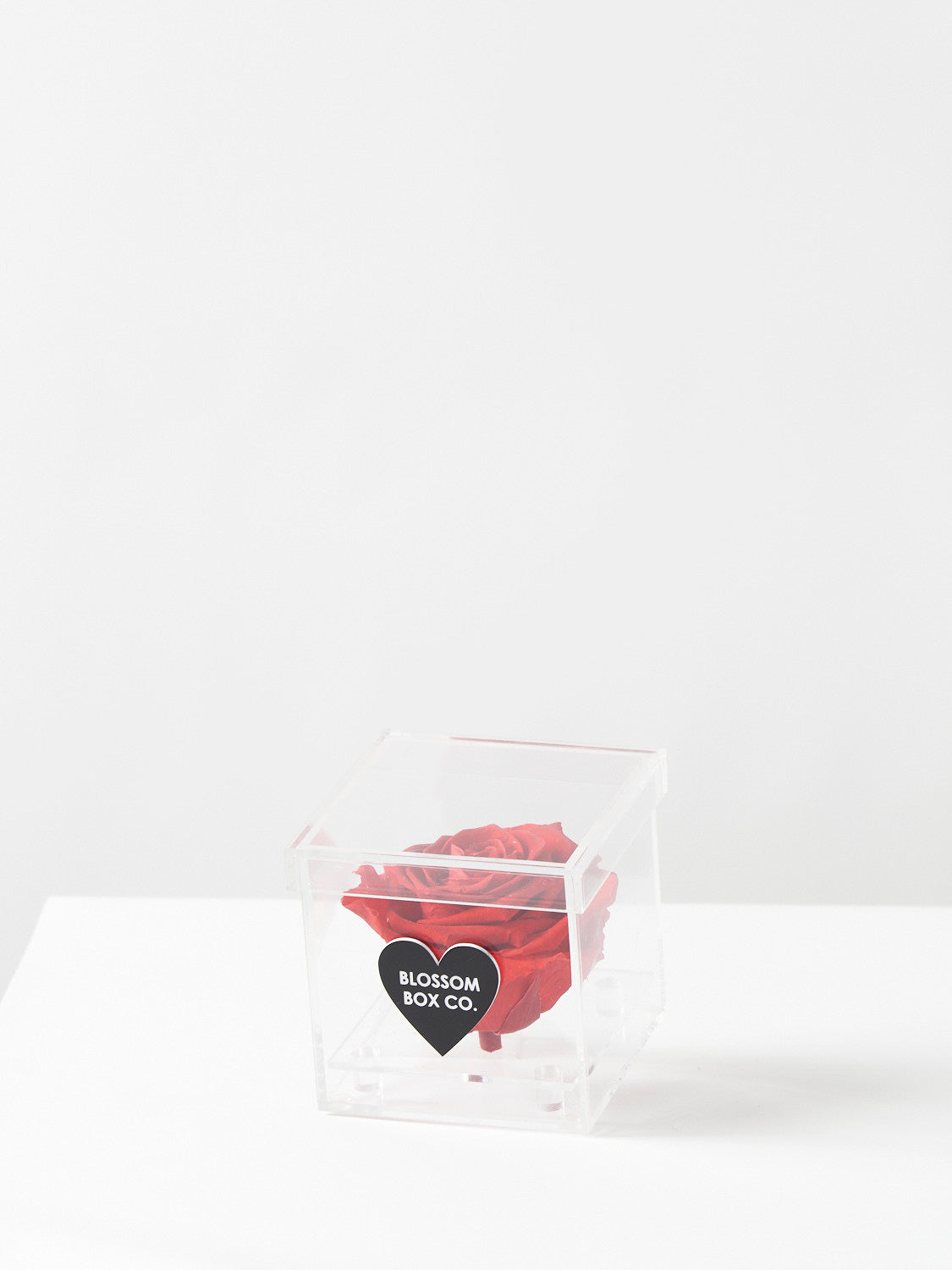 Deluxe Preserved Rose Cube