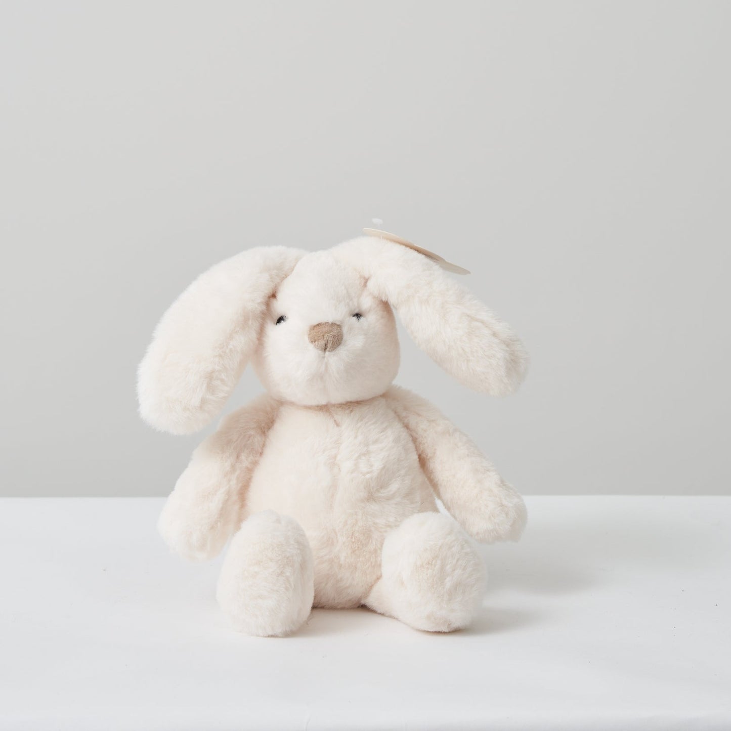 Plush Bunnies Regular