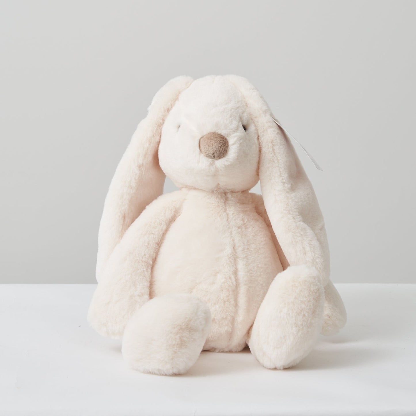 Plush Bunnies Regular