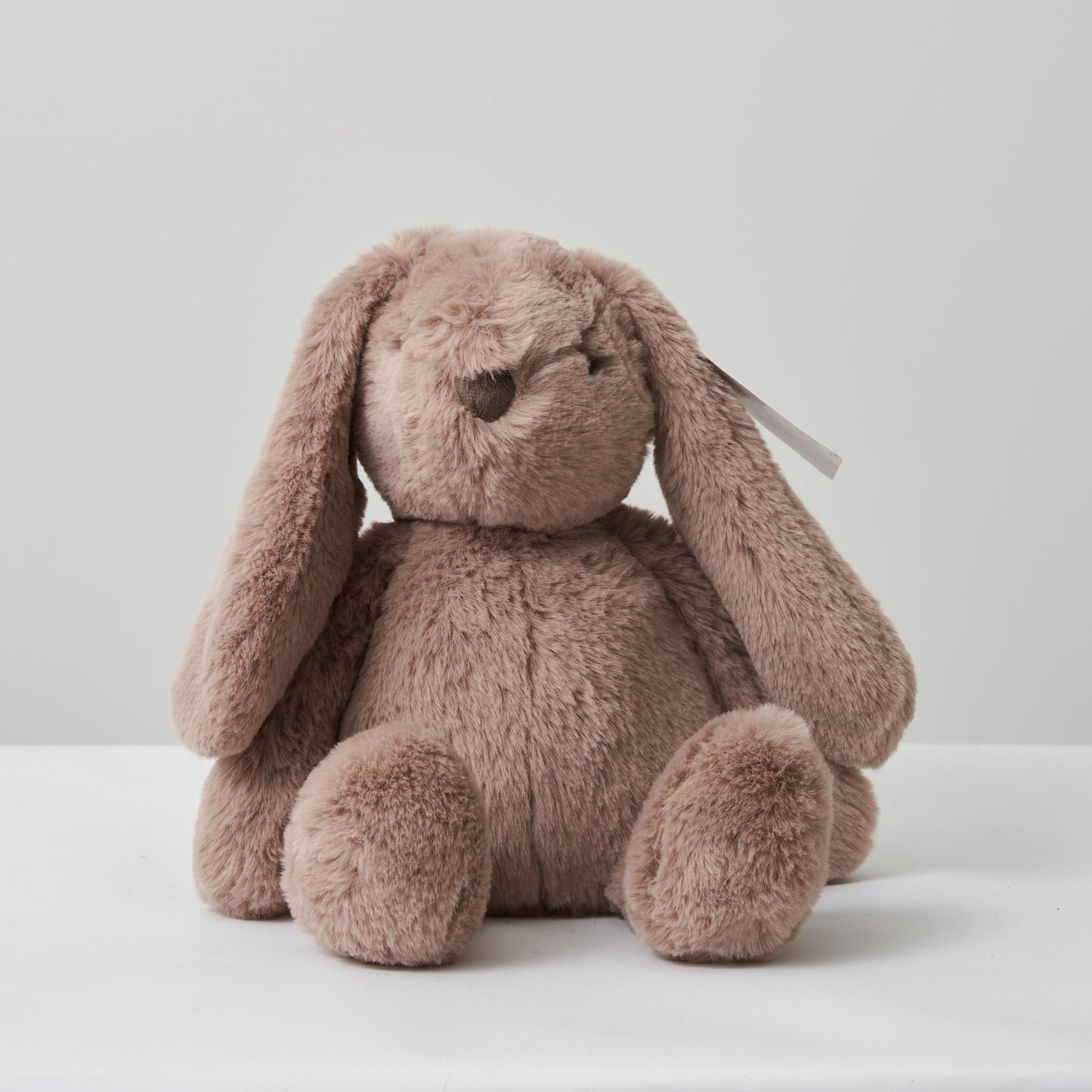 Plush Bunnies Regular