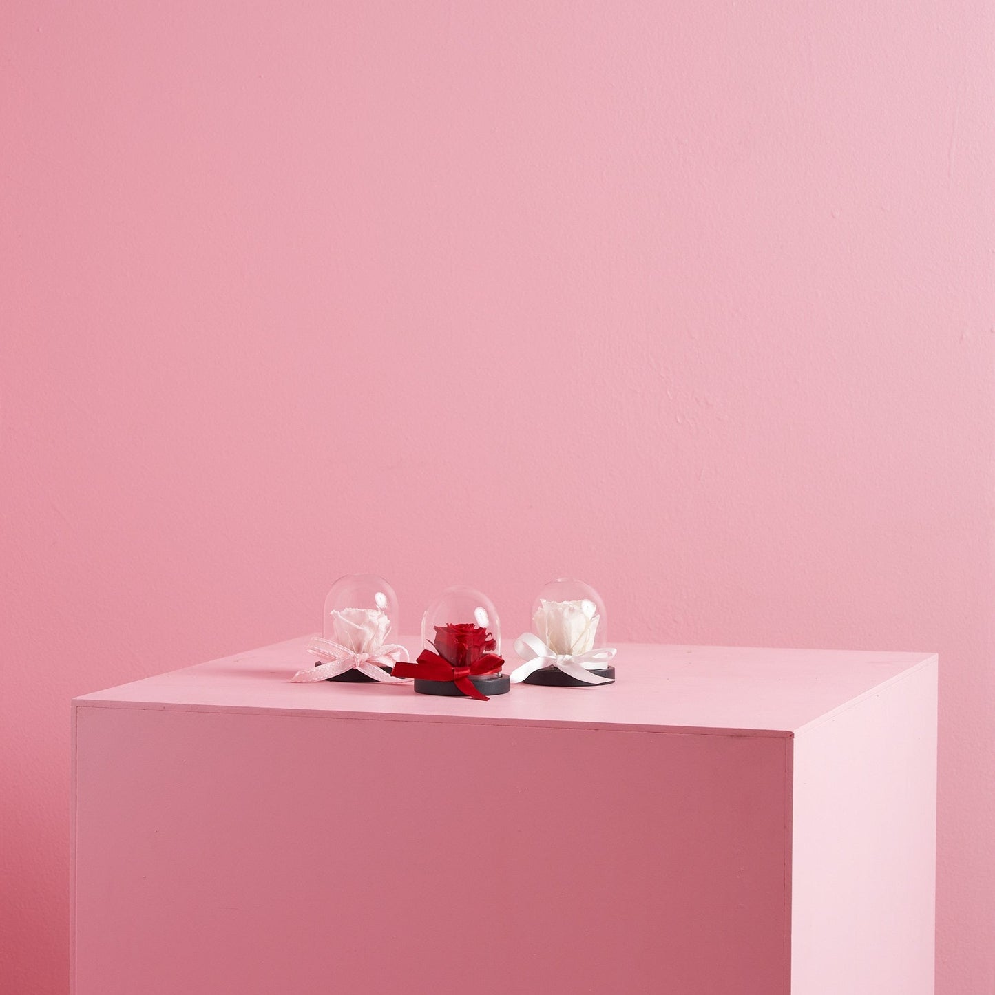 Petite Preserved Rose Dome