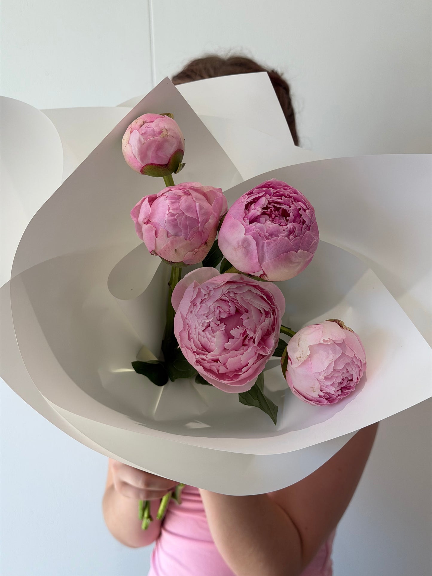 Imported Peonies