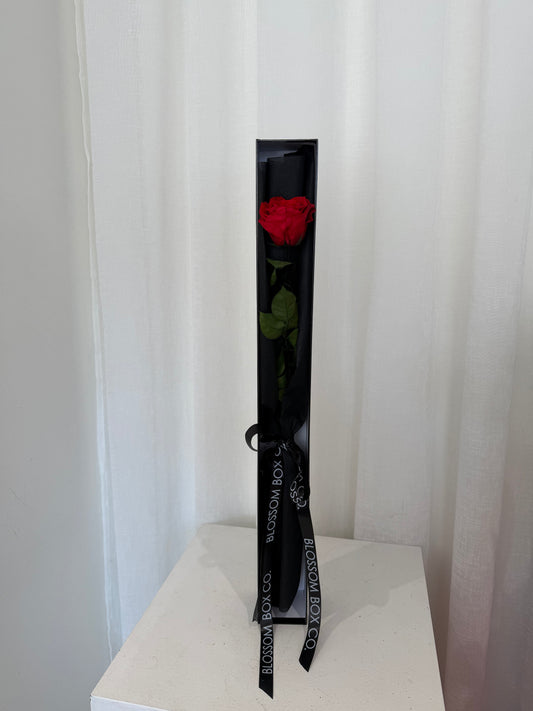 *New* Long stem preserved rose