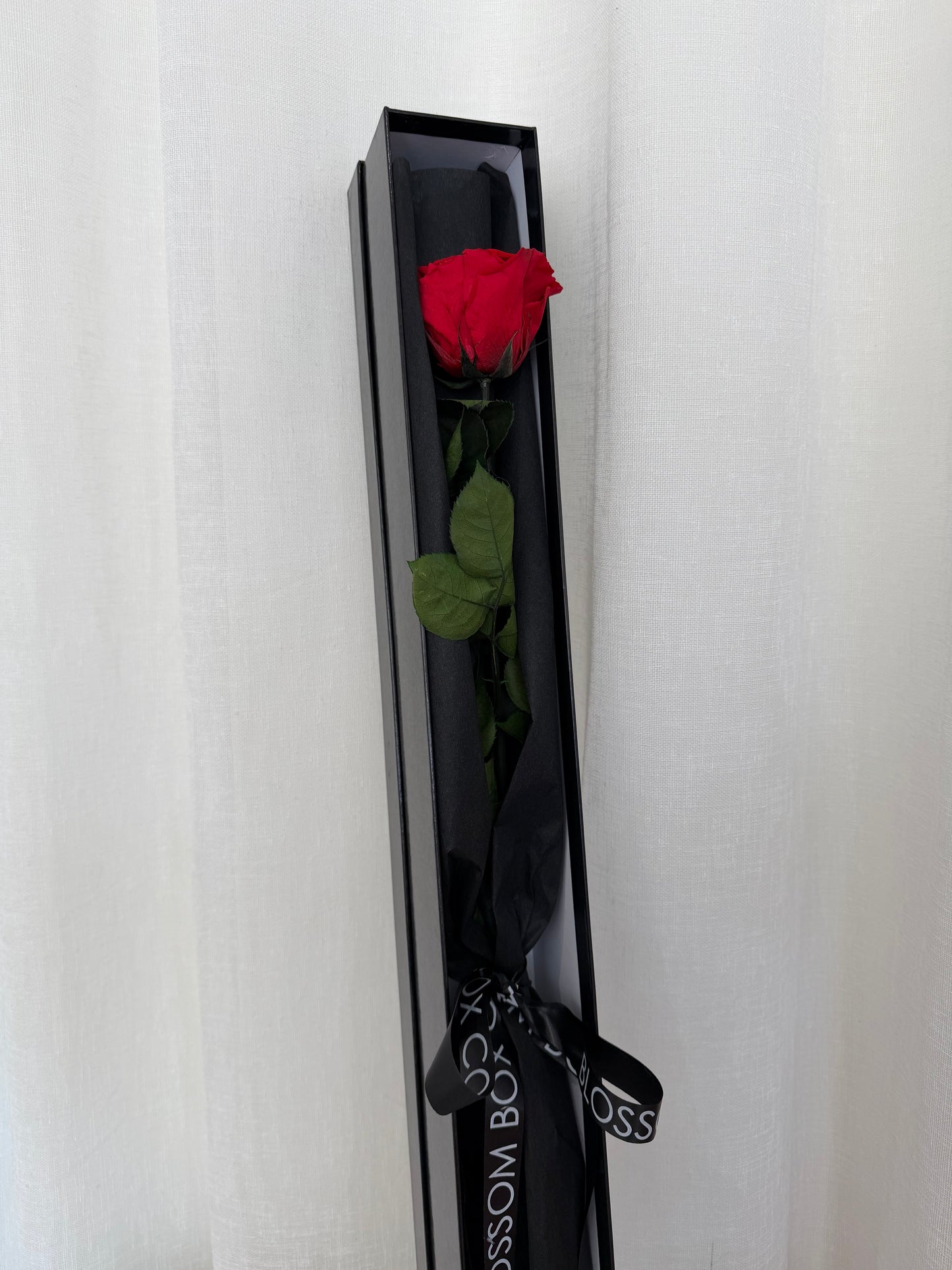 *New* Long stem preserved rose