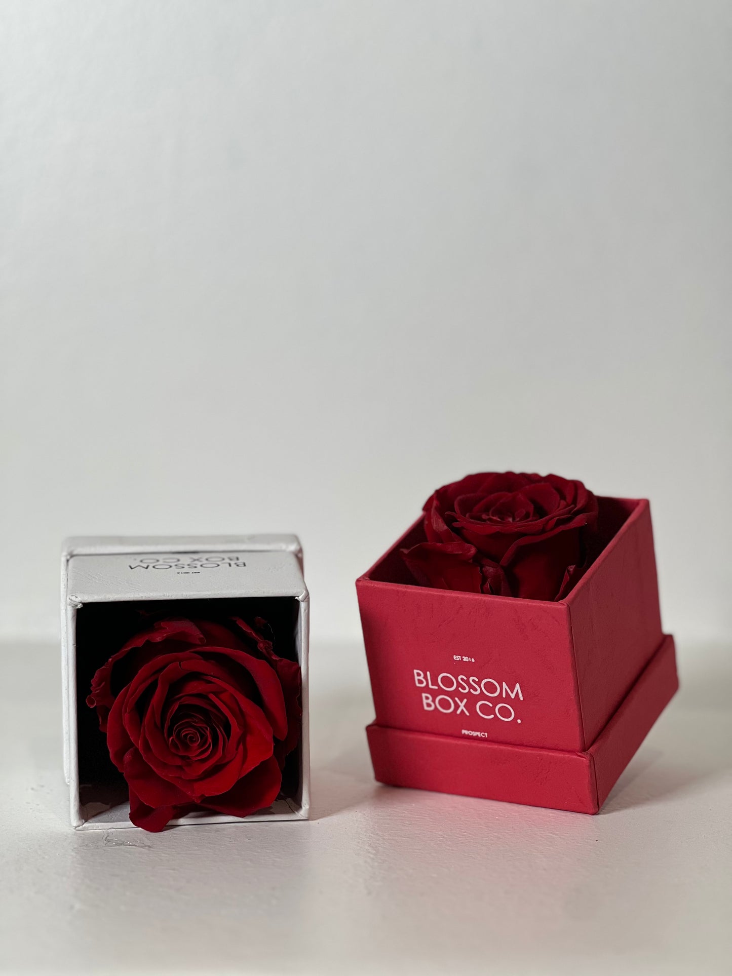 Limited Edition Everlasting Rose