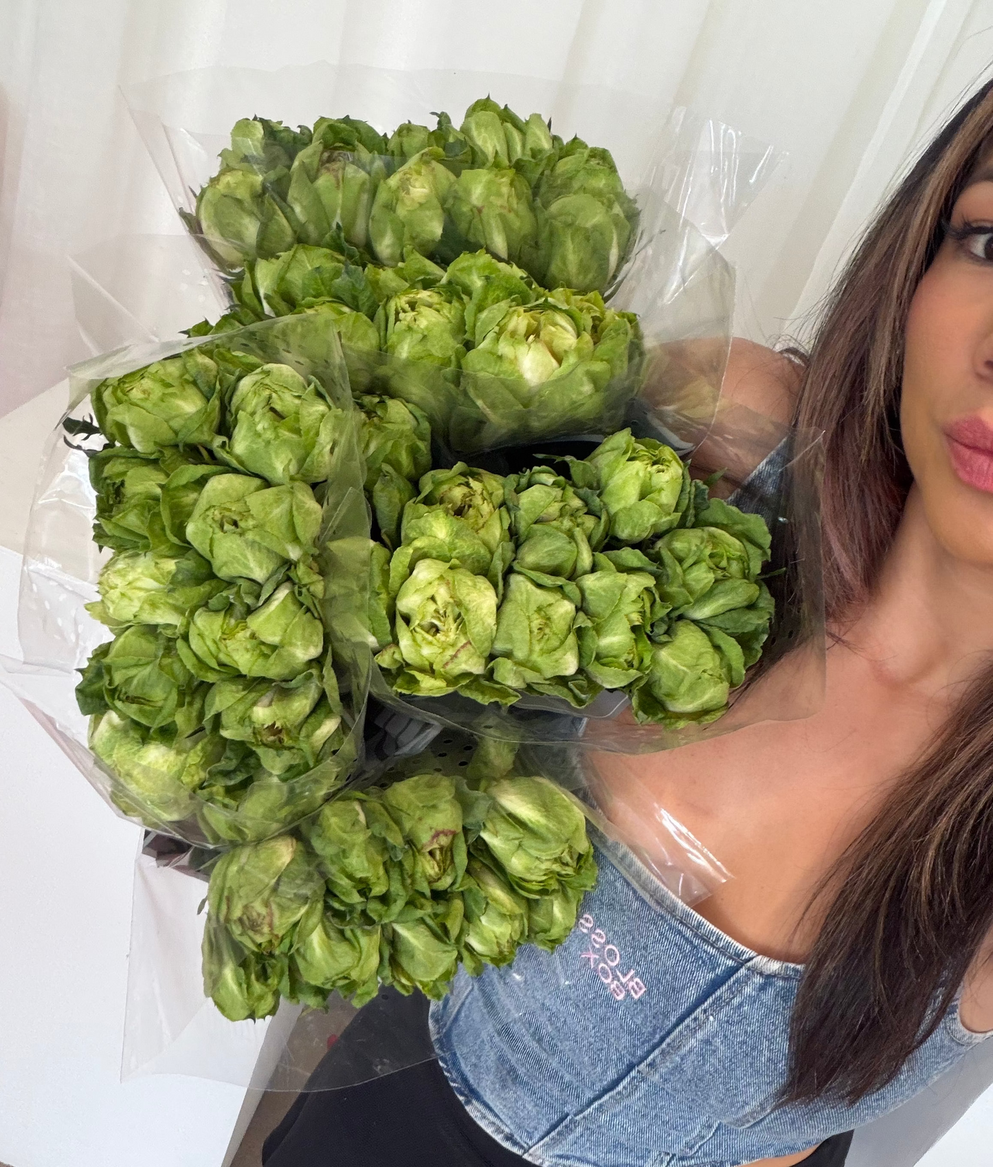 NEW Cabbage Patch Roses