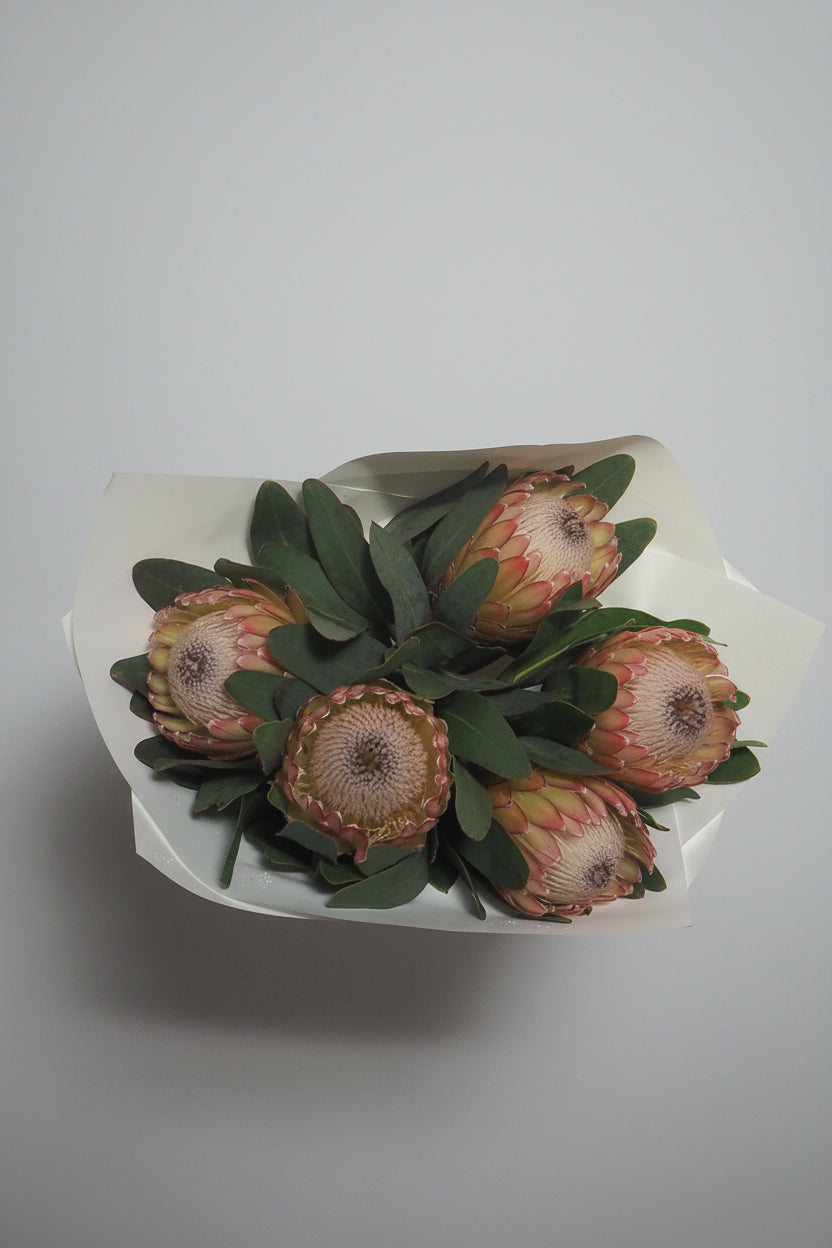 Market Bunch Proteas