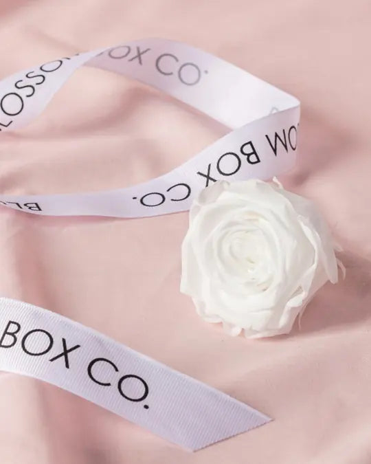 A preserved white rose on blush satin with Blossom Box Co. ribbon
