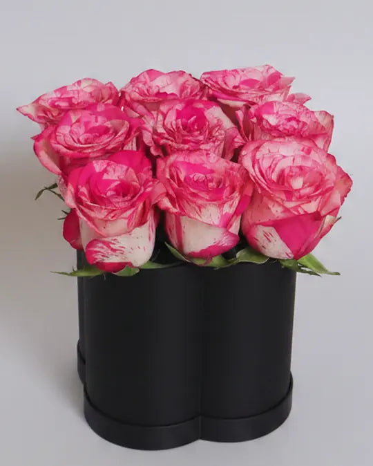 Pink roses in a black Blossom Box Co. emblem box