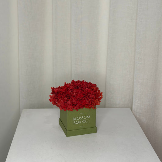 Limited edition sage box - preserved hydrangea