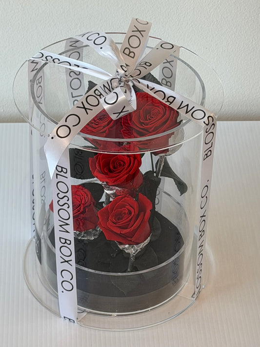 *New* Deluxe Preserved Rose Capsule
