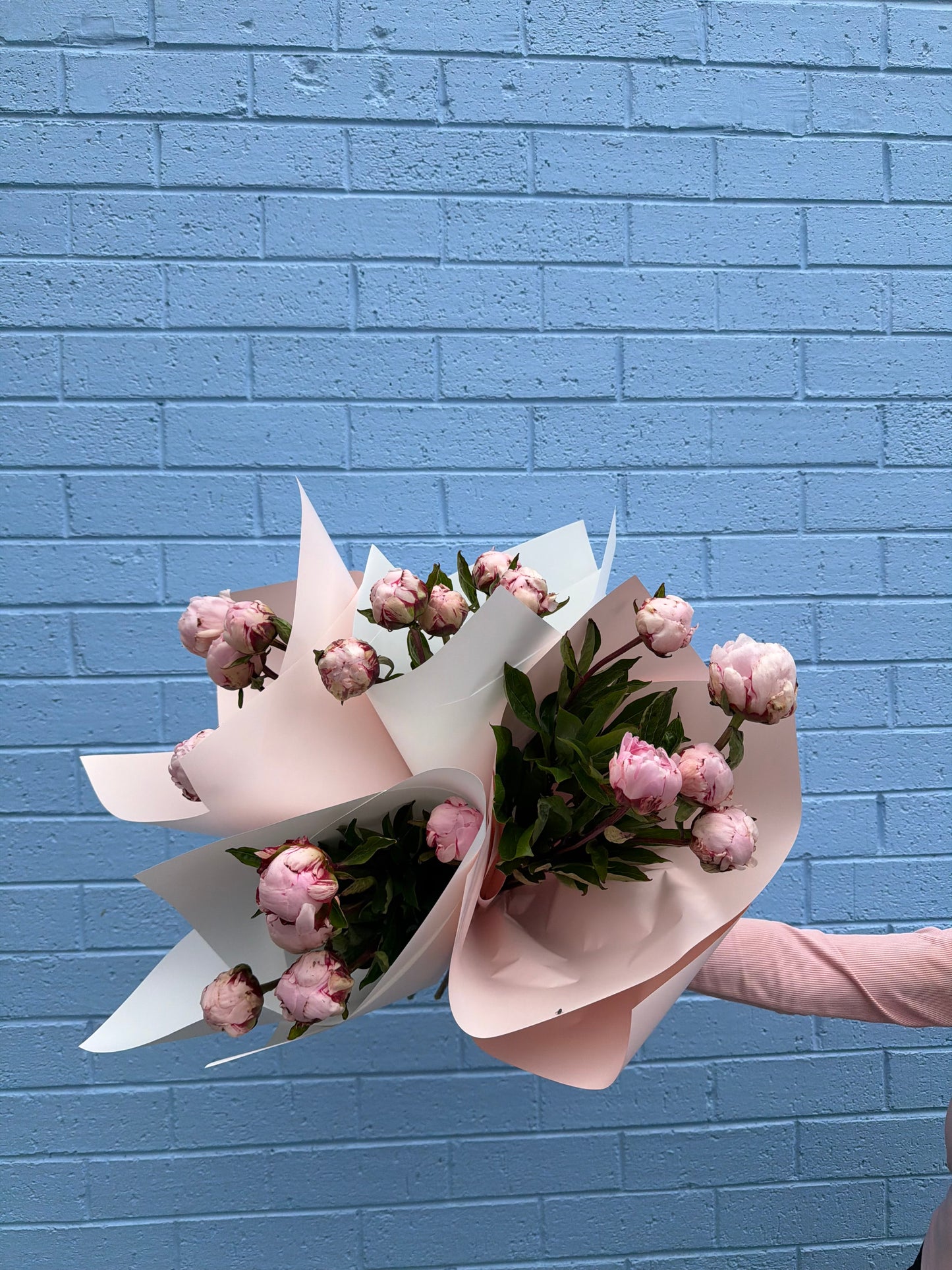 Pretty in Pink Peonies