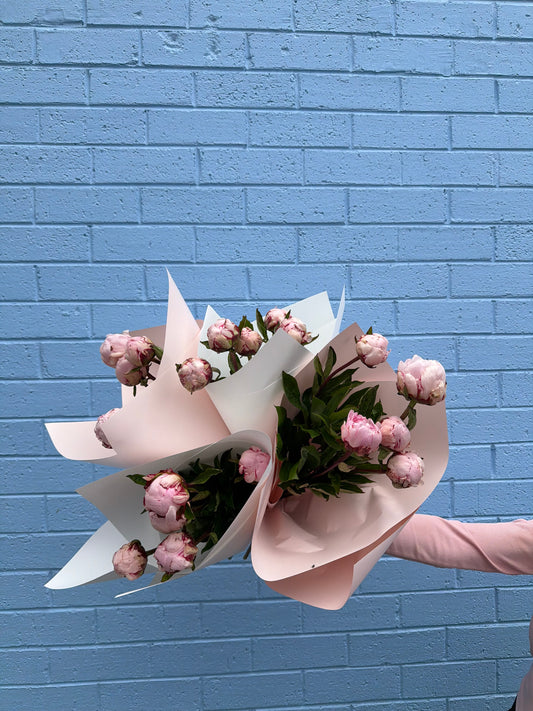 Pretty in Pink Peonies