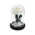*New* Rose Dome