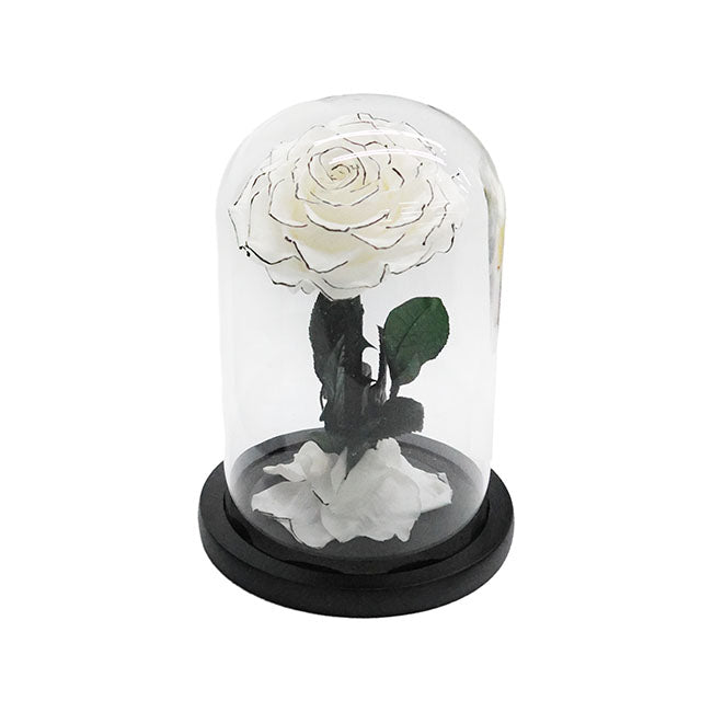 *New* Rose Dome