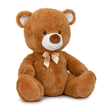 Valentine's Teddy Bears