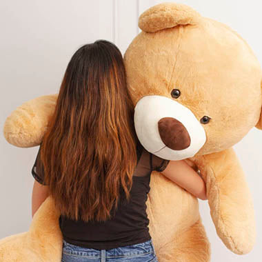 Valentine's Teddy Bears