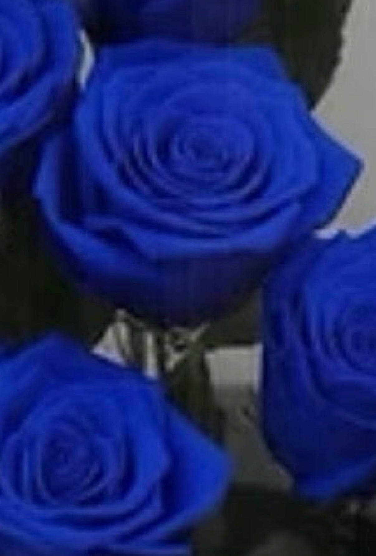 *New* Deluxe Preserved Rose Capsule