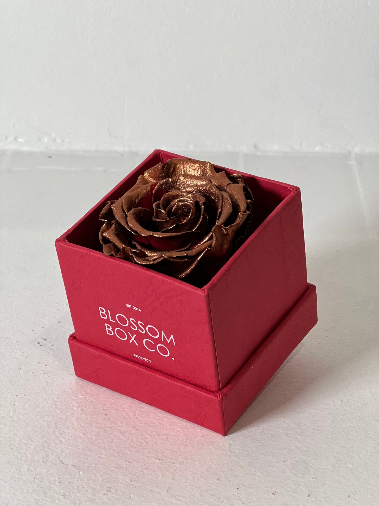 Limited Edition Valentine’s Everlasting Rose
