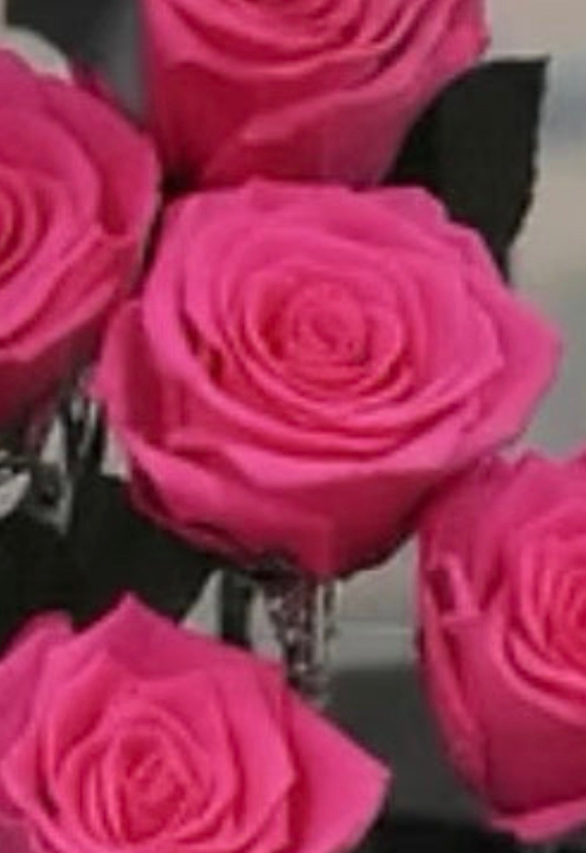 *New* Deluxe Preserved Rose Capsule