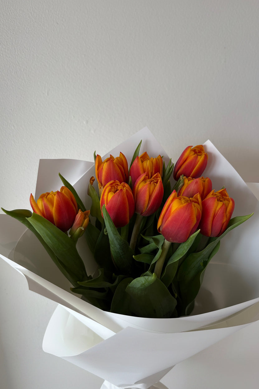 Tulips