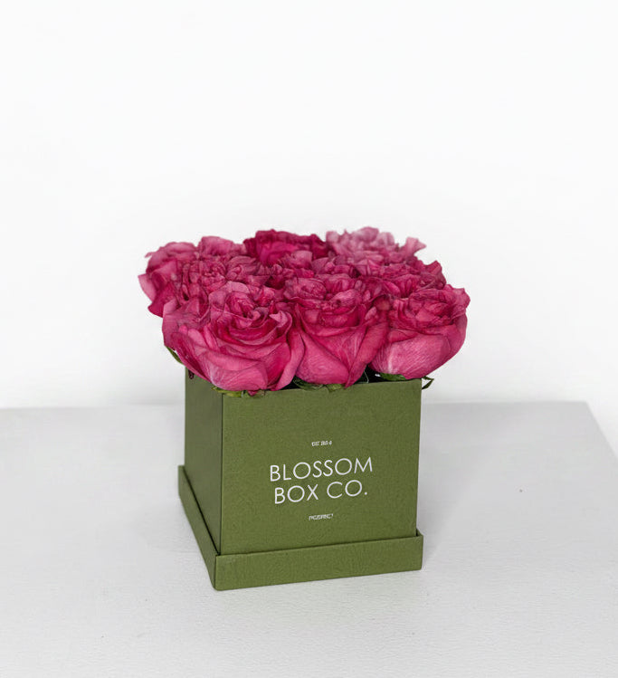 Limited Edition Sage Box