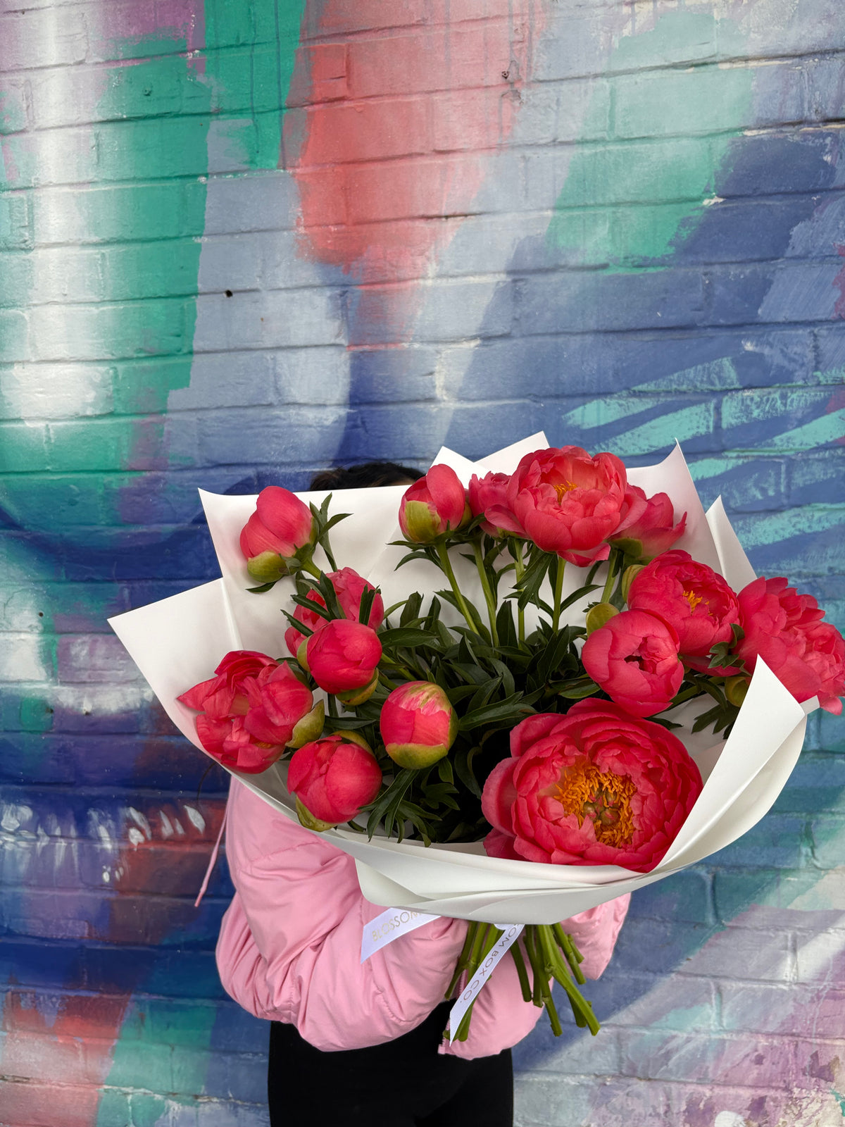 Peonies - Coral Charm