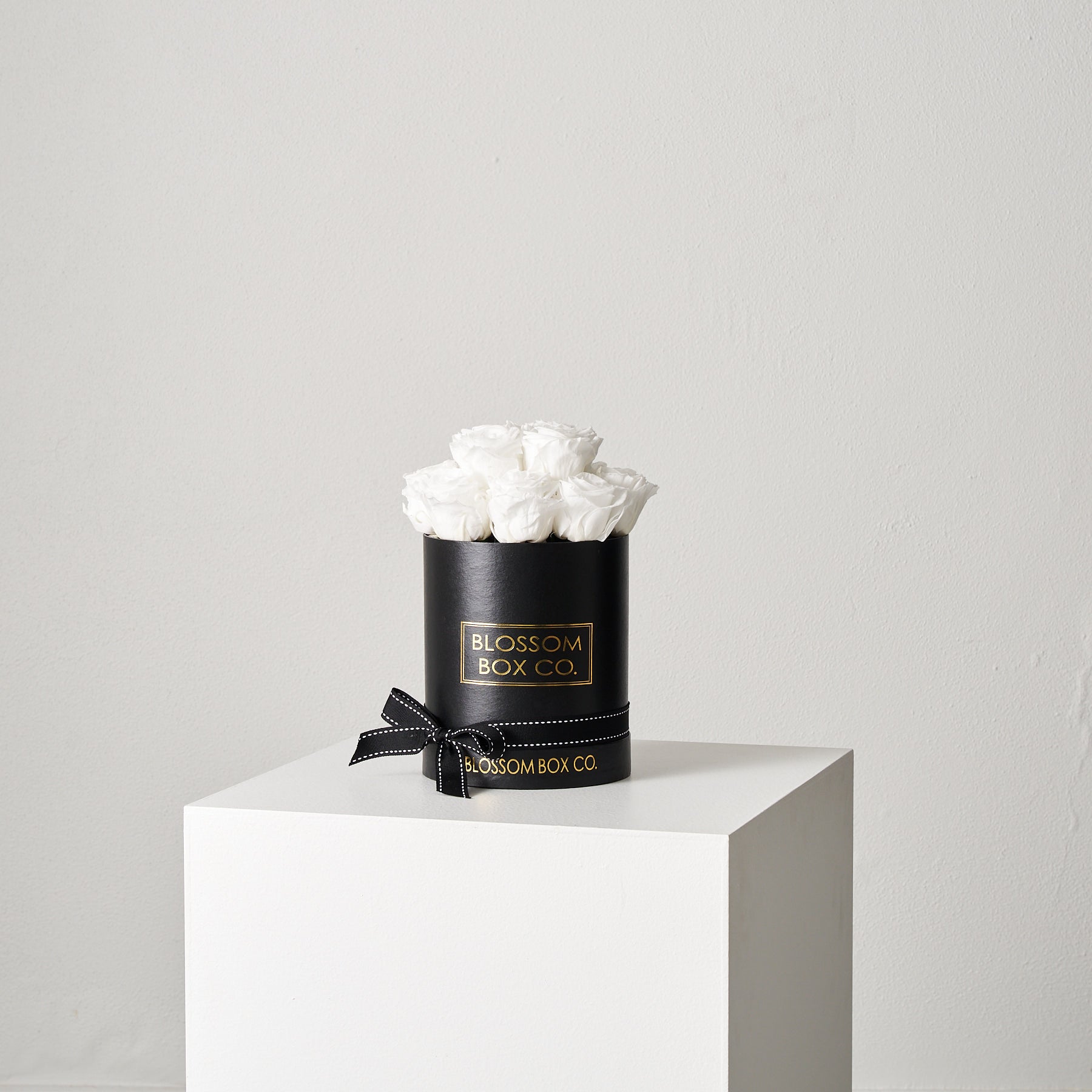 Preserved Blossom Hat Box