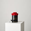 Preserved Blossom Hat Box