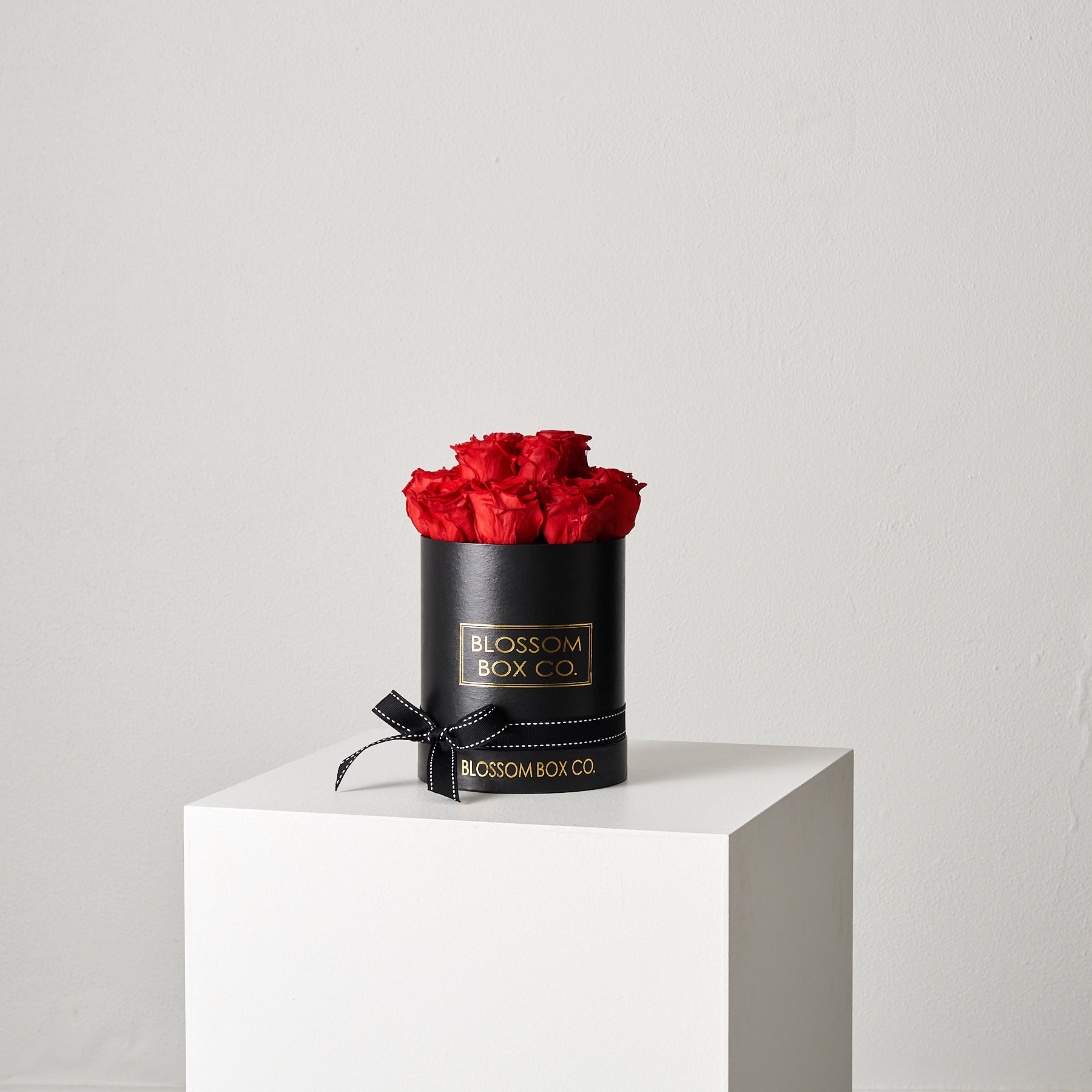 Preserved Blossom Hat Box