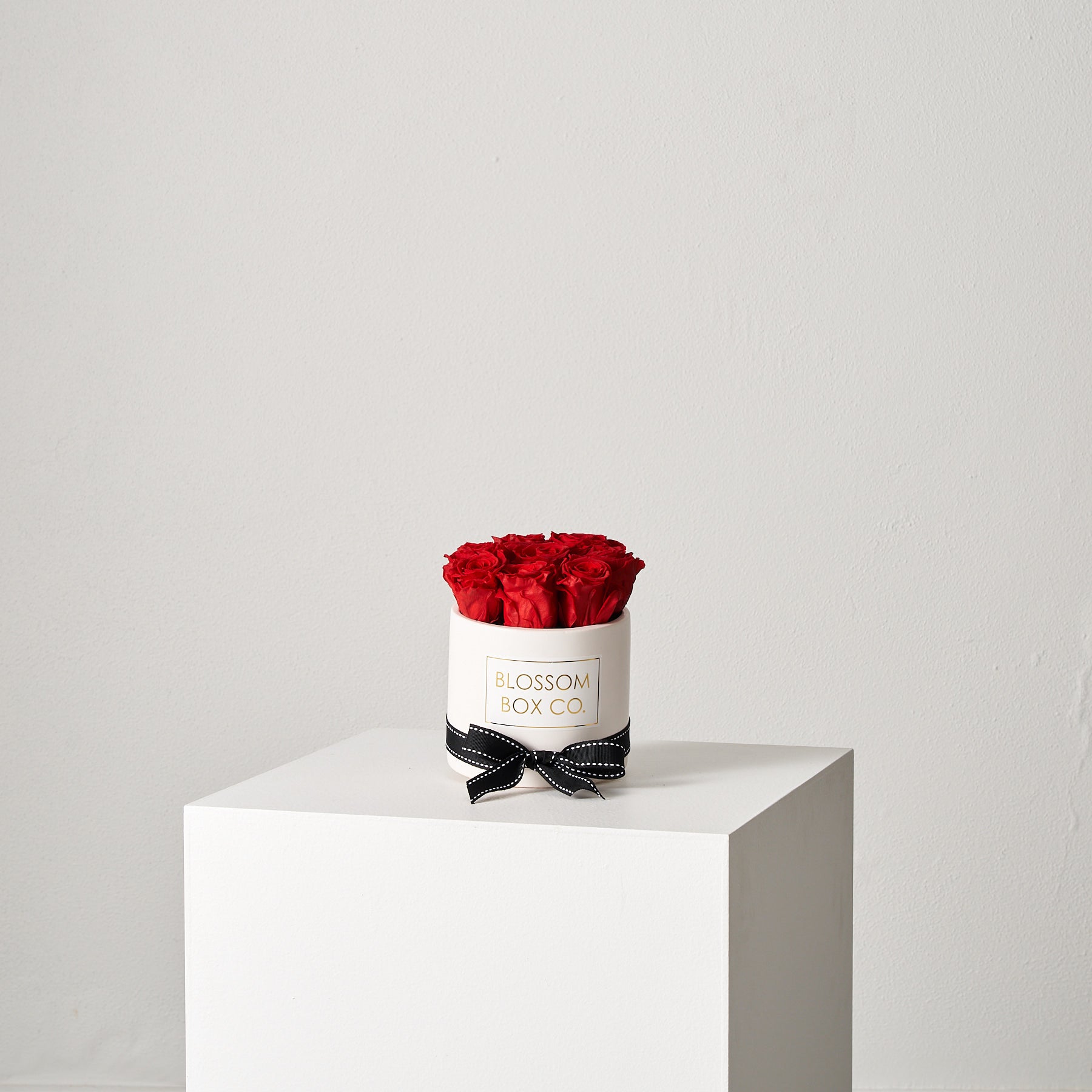 Preserved Classic Ceramic Round Rose Box – Blossom Box Co