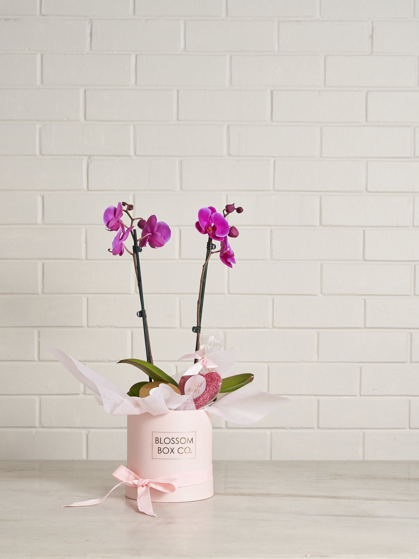 Mother's Day Orchid Hamper