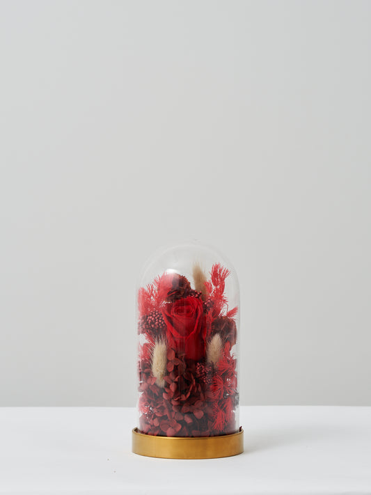 Christmas Bohemian Dome