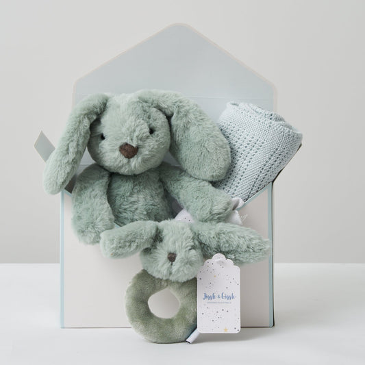 Baby Boy Hamper