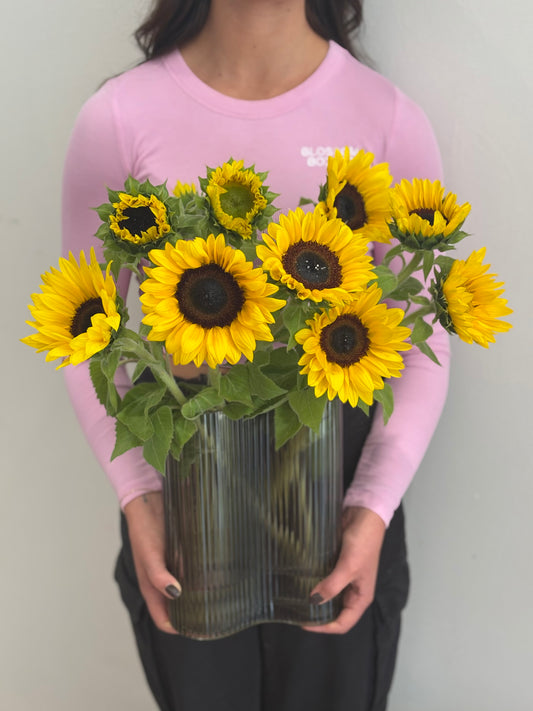 You are my Sunshine
