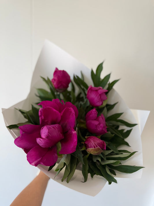 *NEW* Local Peonies