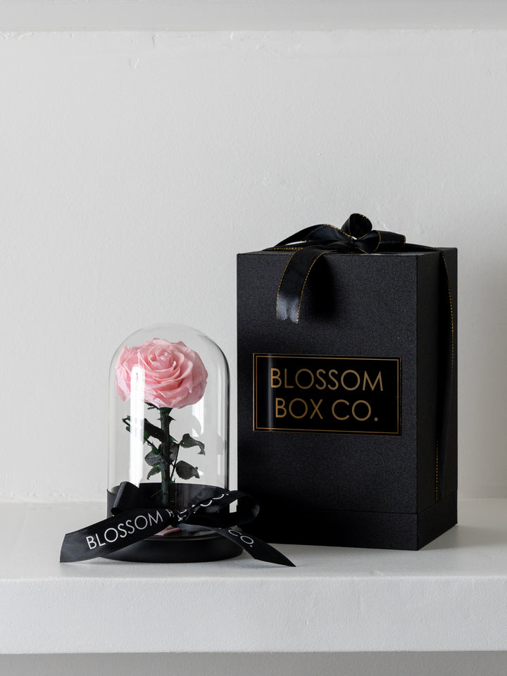 Single Rose Dome
