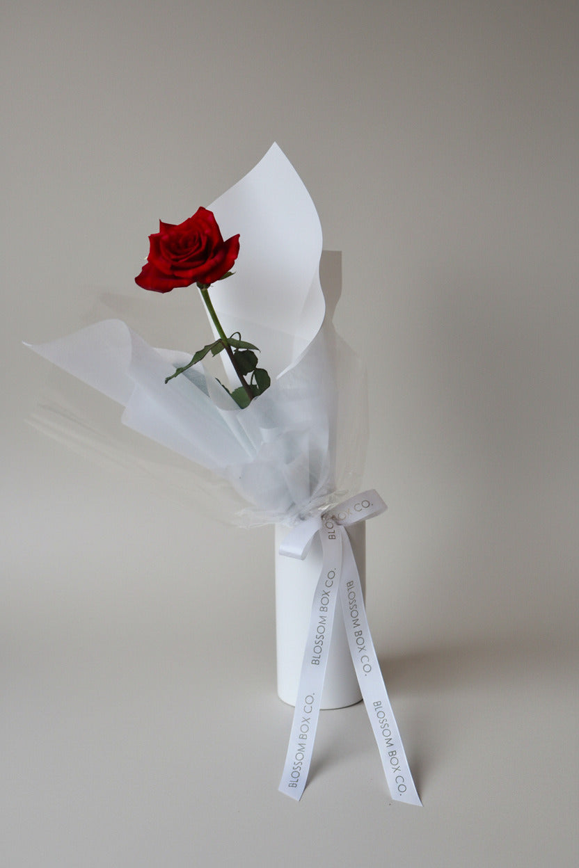 One and Only Rose