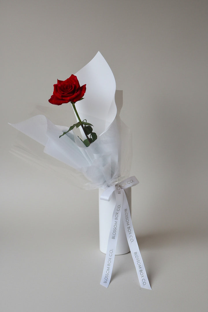 One and Only Rose