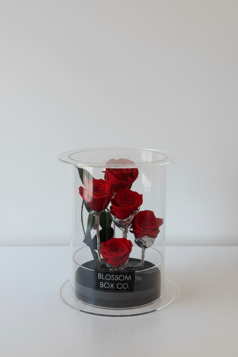 *New* Deluxe Preserved Rose Capsule