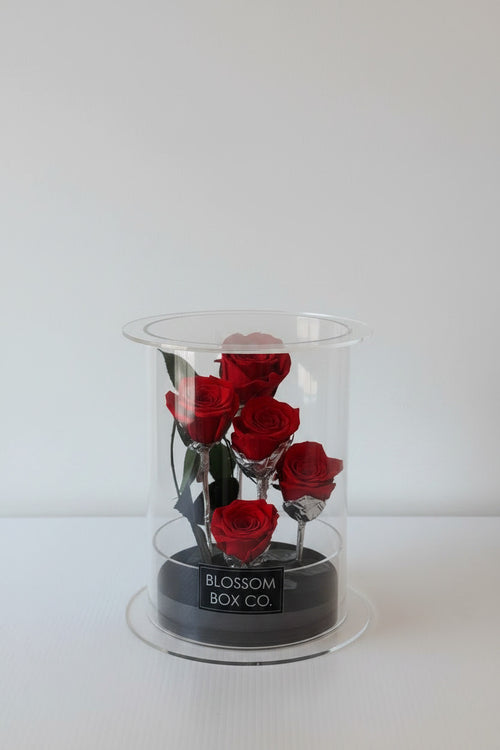 *New* Deluxe Preserved Rose Capsule