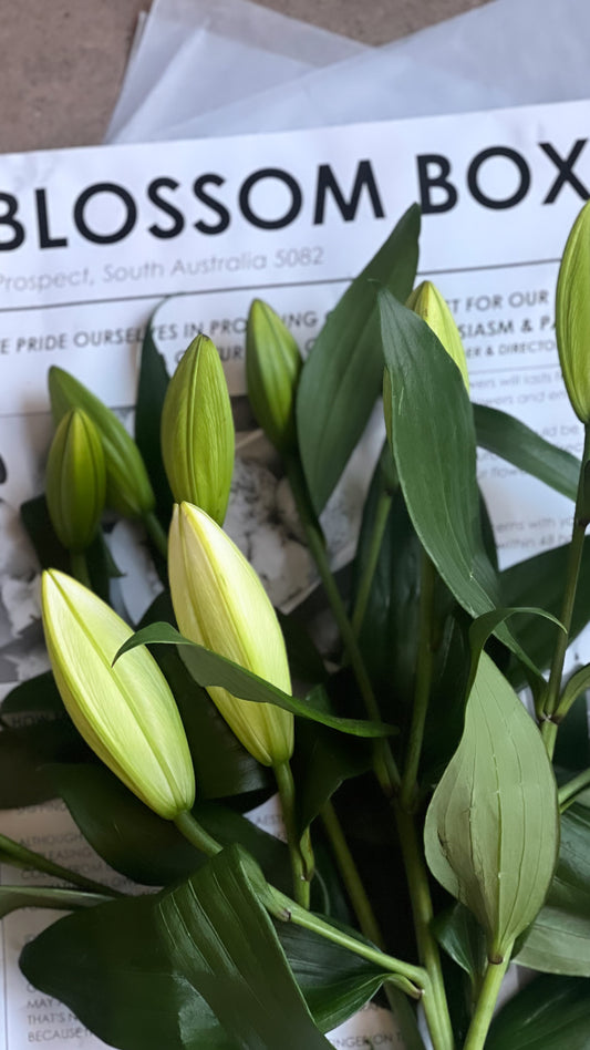*Special* Double bunch Oriental Lilies (save $45)
