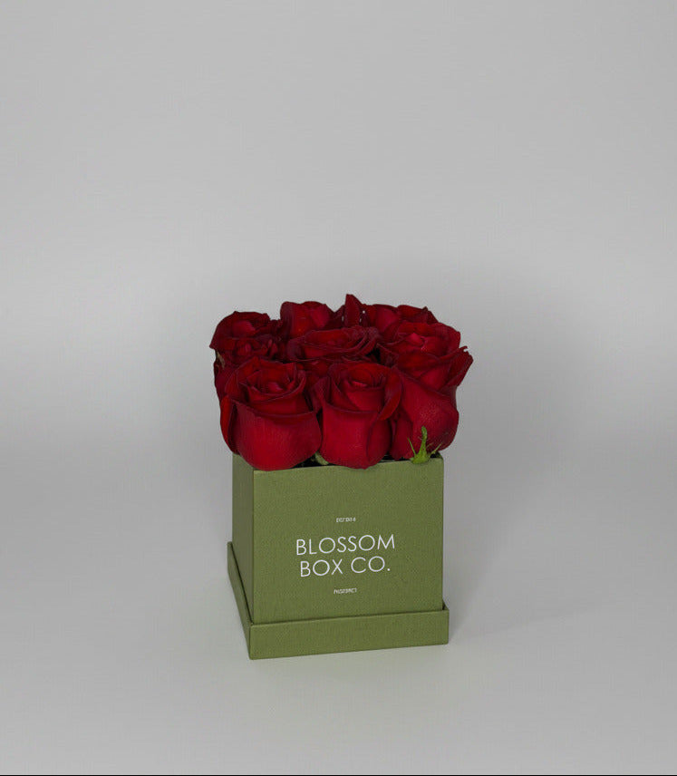 Limited Edition Sage Box