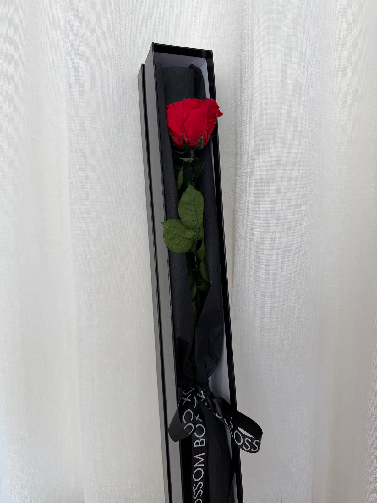 Long Stem Preserved Rose, photo 2 of 2